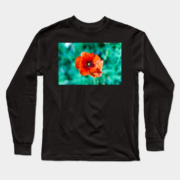 Scarlet red common poppy flower Long Sleeve T-Shirt by lena-maximova